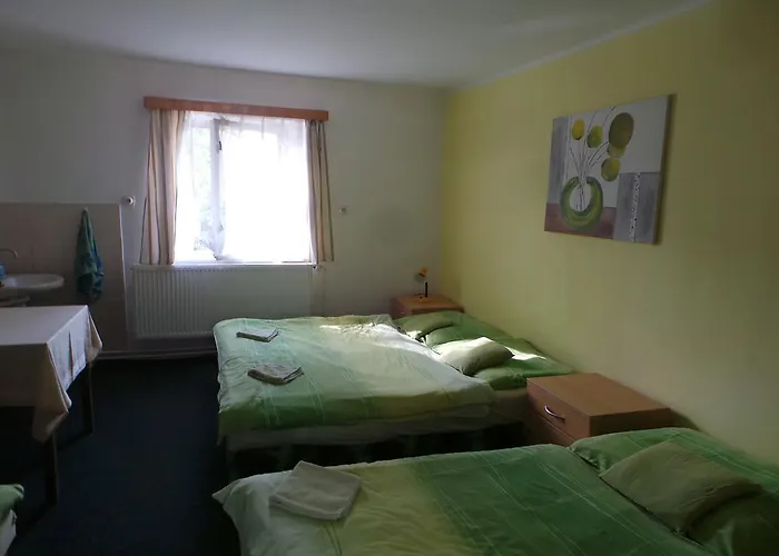 Tomy Pihlov Pensionat 3*