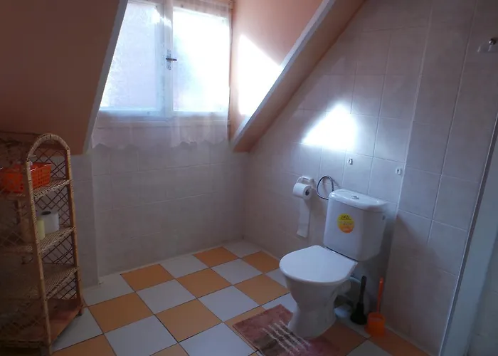 Tomy Pihlov 3* Horní Planá